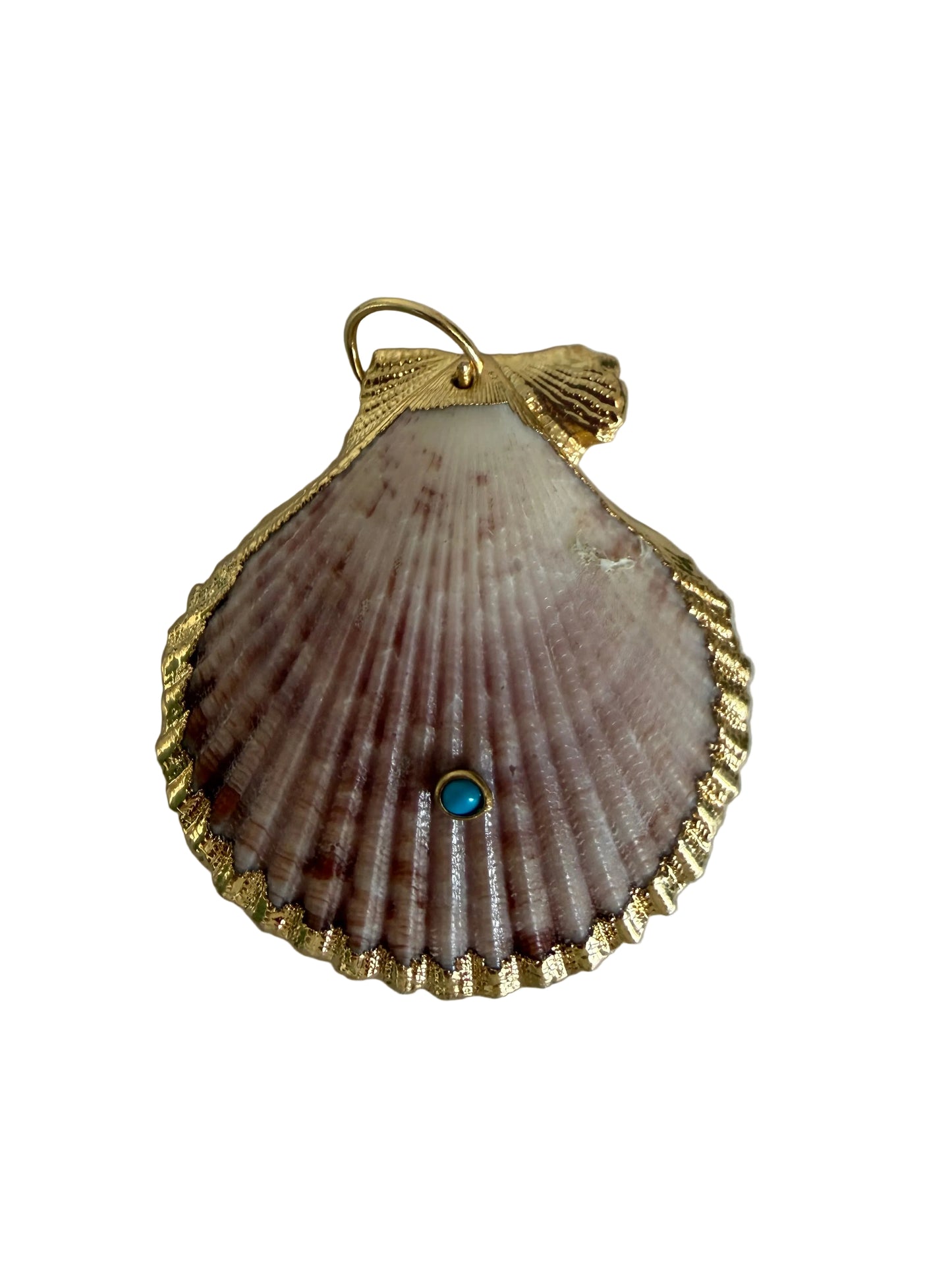 Real Scallop Seashell Pendant w/18k gold filled turquoise gem