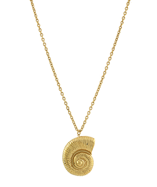 Nautilus Shell Chain Necklace