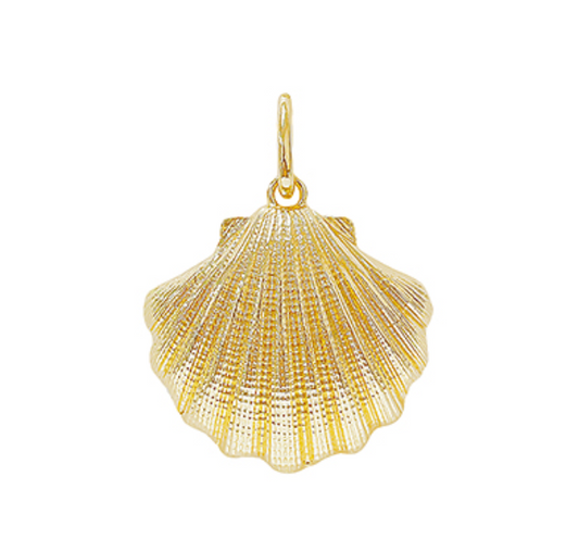 Shell Pendant