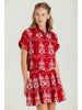 Embroidered Sky Skirt- Red