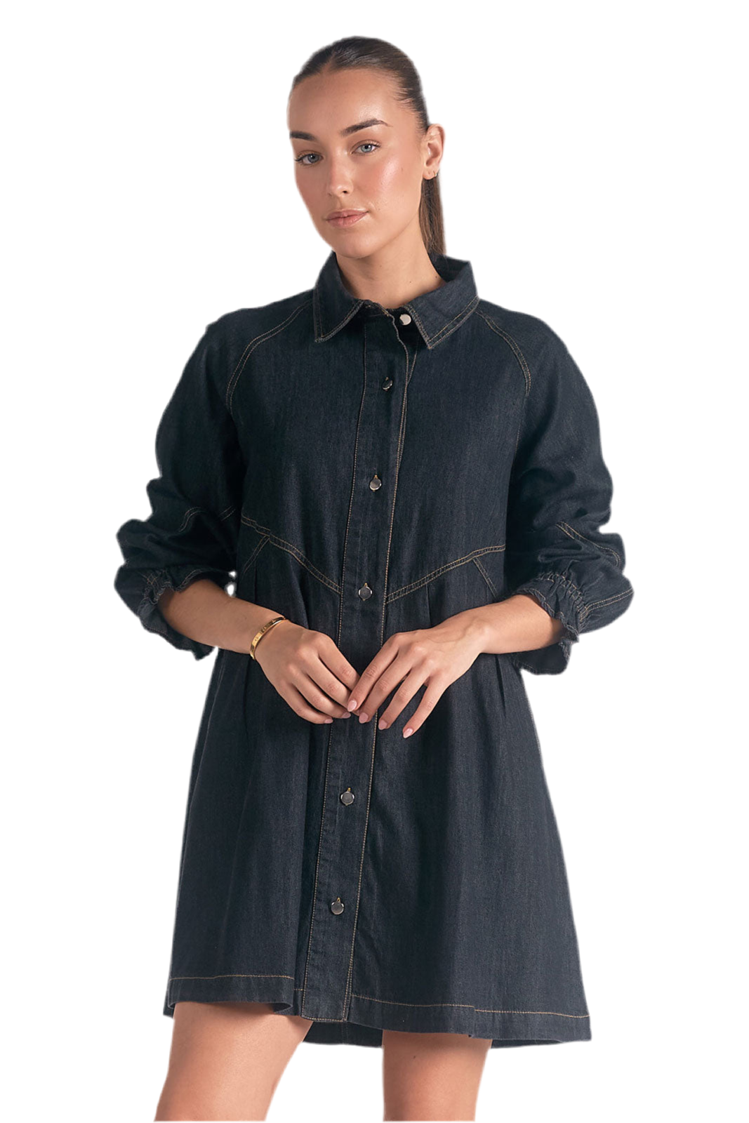 Denim Button Down Collared Dress