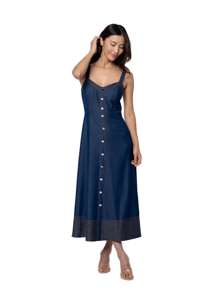 Molli Denim Maxi Dress