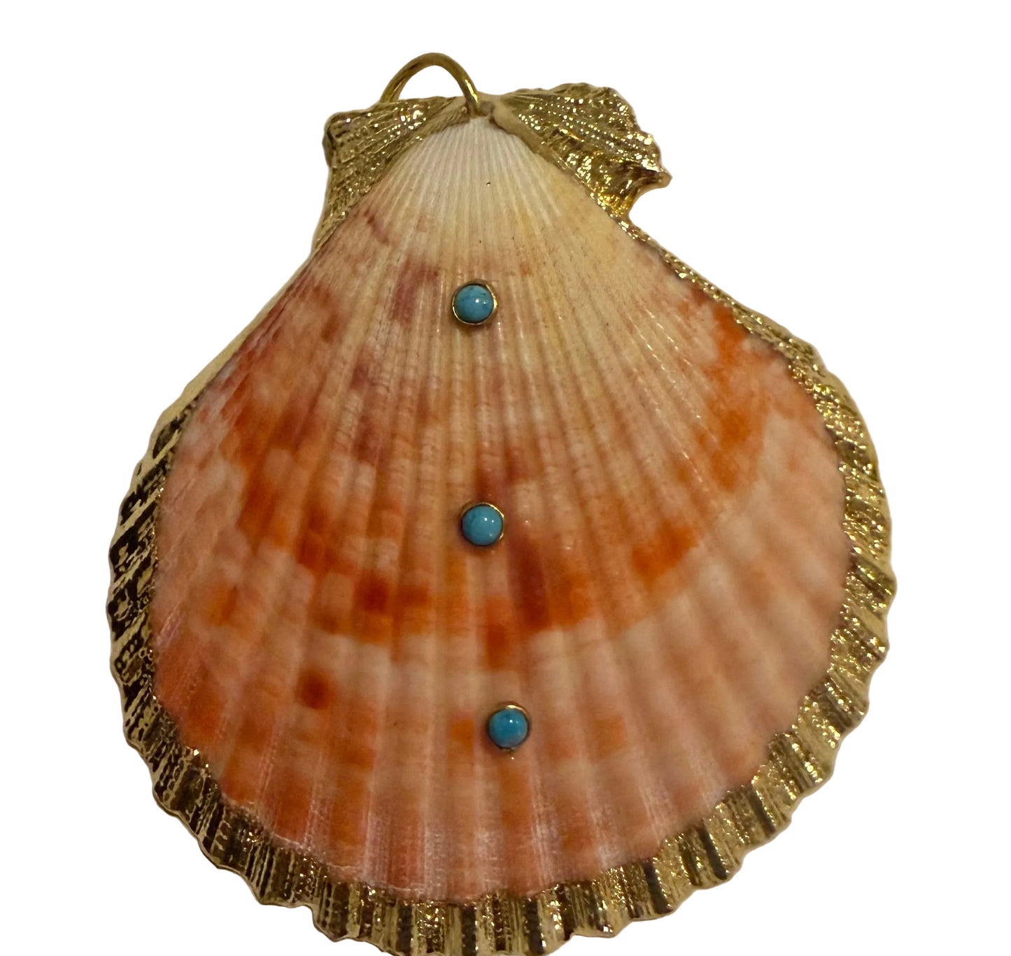 Large Gold fill Scallop Seashell Pendant: turquoise, gemstone, genuine, Shell