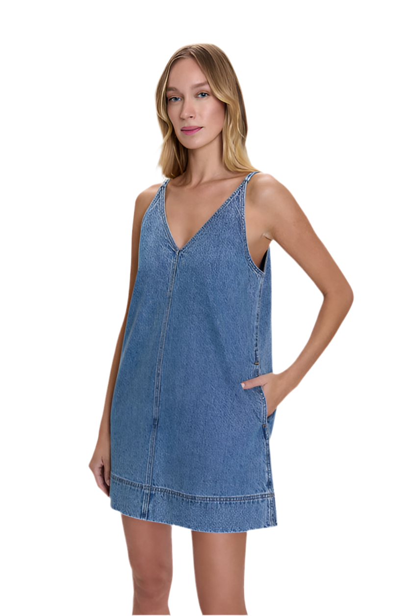 Tavi Denim Pop Over Dress