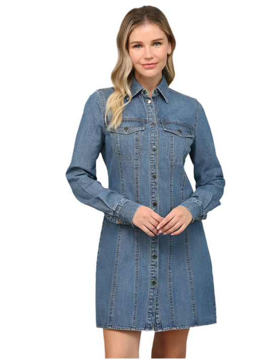 Denim Button Down Dress