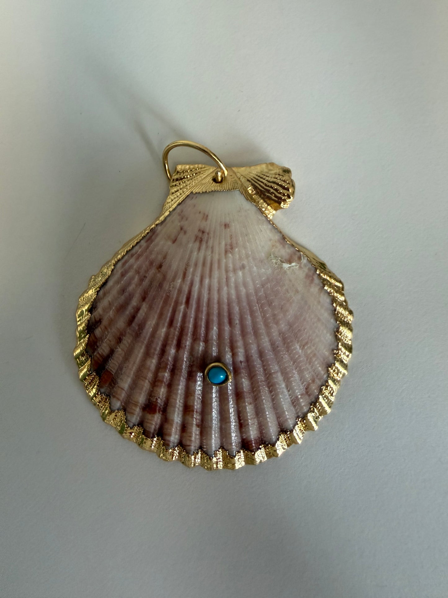 Real Scallop Seashell Pendant w/18k gold filled turquoise gem