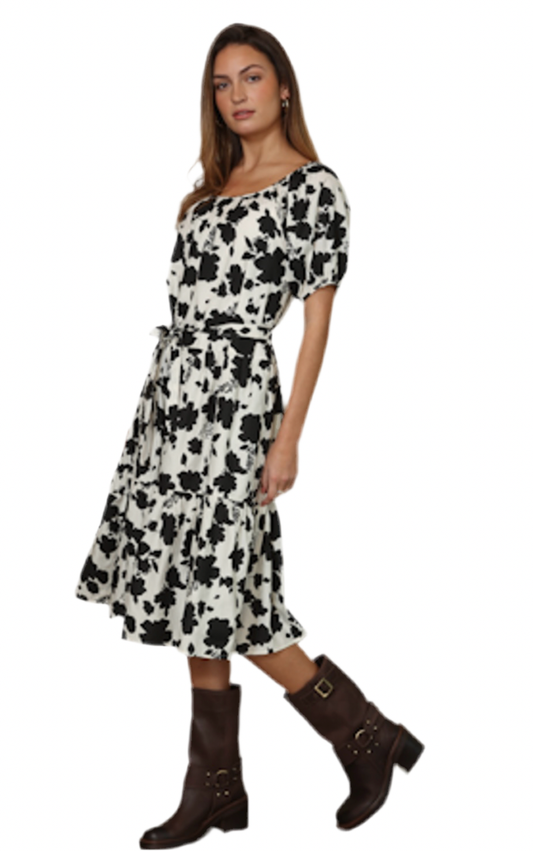 Arden Print Dress