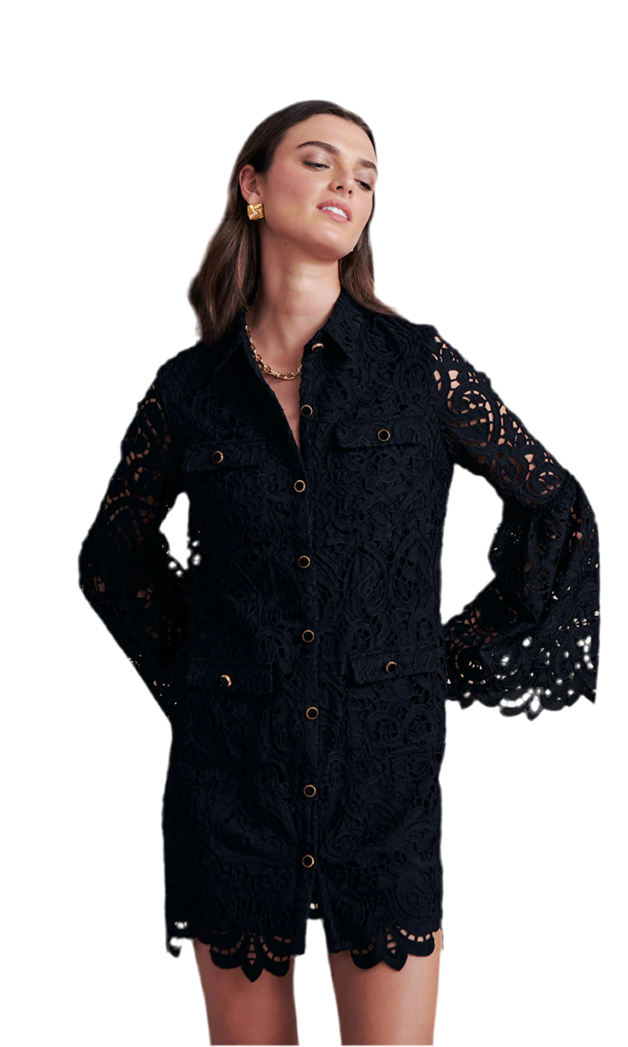 Front view of Rachael Lace Dress – Black – showcasing the intricate swirl embroidery and gold button-down front.