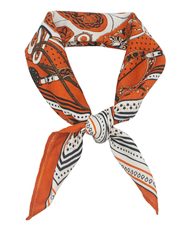 Paisley Bandana