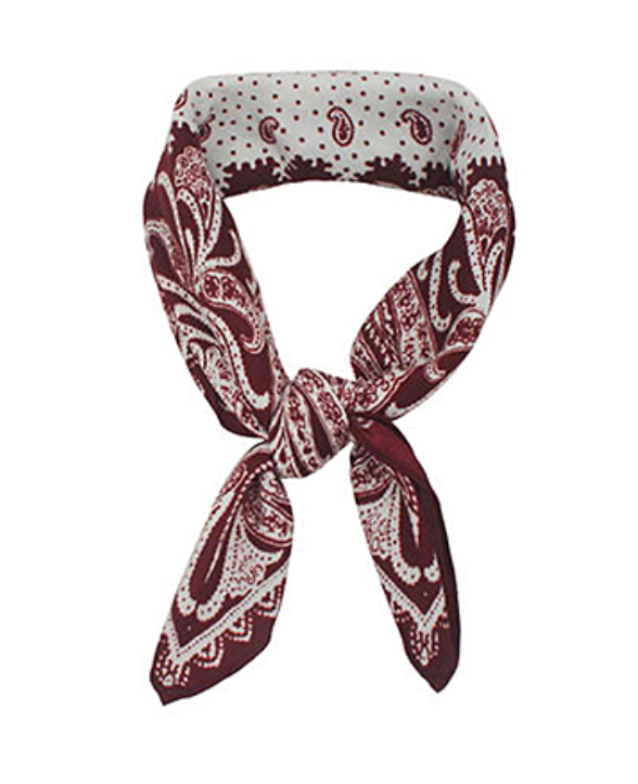 Paisley Print Scarf