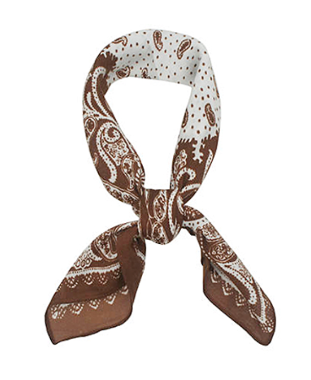 Paisley Print Scarf