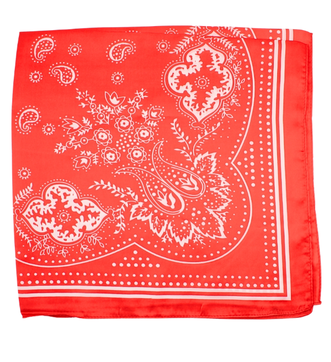 Paisley Bandana- Red