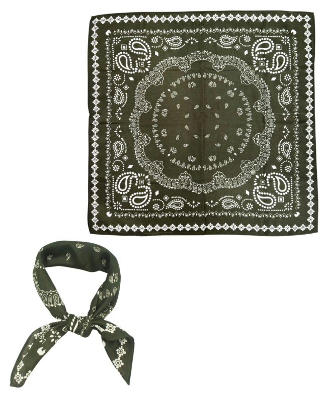 Rustic Paisley Print Scarf